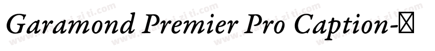 Garamond Premier Pro Caption字体转换